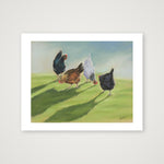 Poultry in Motion — 20×16cm, 8×6" Print only
