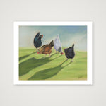 Poultry in Motion — 25×20cm, 10×8" Print only