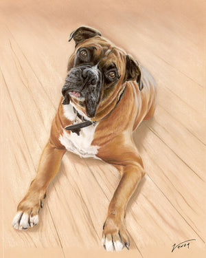 Taz