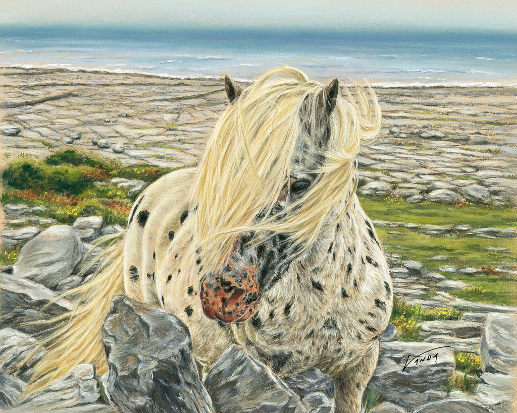 Burren Beauty