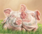 Snout 'n' About
