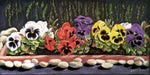 Pansy Palette